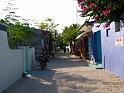 Rashdoo (46)